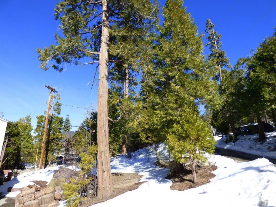 Romantic Tiny Cabin- With Lake View! Villa Lake Arrowhead Exterior photo